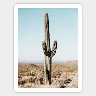 Cacti, Desert, Landscape, Sky, Nature print Sticker